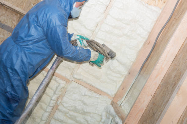 Eco-Friendly or Green Insulation Solutions in Magnolia, AR